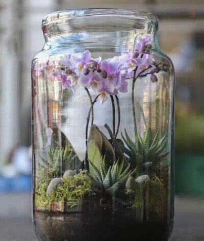 Terrarium Workshop