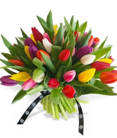 Mixed Tulips